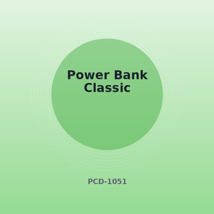 Batterie externe Classique